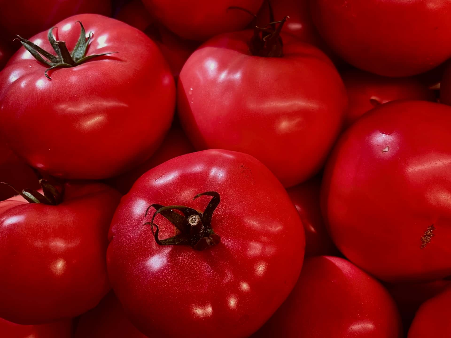 Nasze piękne pomidory